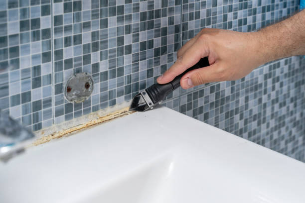 Best Mold Testing  in Northwood, IA
