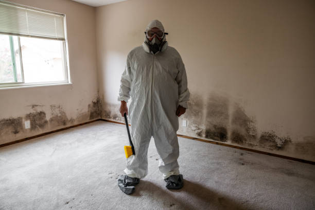Home Mold Removal in Northwood, IA